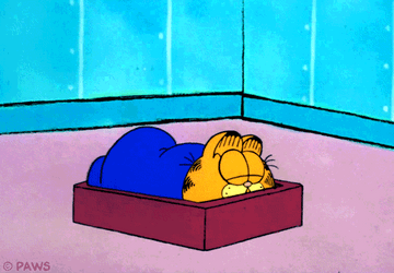 Gracioso Humor Buenas Noches GIF