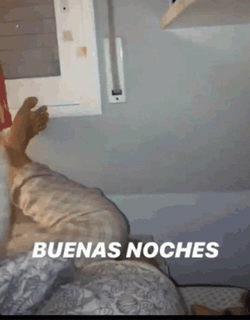 Gracioso Humor Buenas Noches GIF