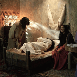 Gracioso Humor Buenas Noches GIF