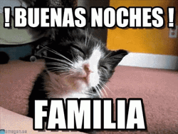 Gracioso Humor Buenas Noches GIF