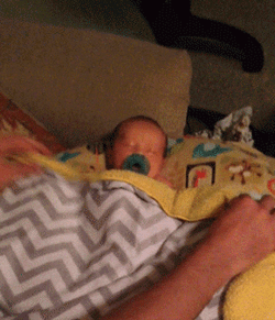 Gracioso Humor Buenas Noches GIF