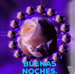Gracioso Humor Buenas Noches GIF