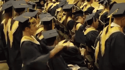 Graduates Sitting In A Row With Caps GIF