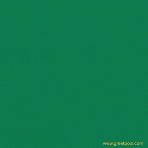 Graduation Woman With Congratulations Card GIF