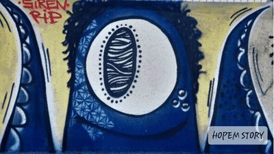 Graffiti On A Wall That Says Siren Rip GIF