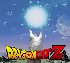 Grago Cat Z Spirit Bomb GIF
