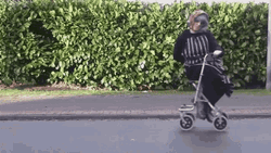 Grandma Stroller Roll Cool GIF