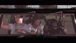 Grandmas Boy Monkey Driving Car GIF