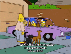 Grandpa Simpson I Aint Senile GIF
