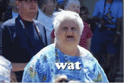 Granny Fun Head Face Wut GIF