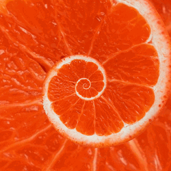 Grapefruit Hypnosis Spiral GIF