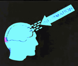 Graphic Representation Of Learning GIF