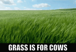 Grass Is For Cows GIF