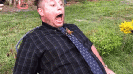 Grasshopper Mouth Open GIF