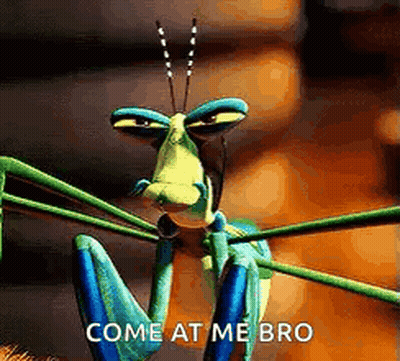 Grasshopper On Branch Saying Come At Me Bro GIF