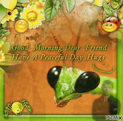 Grasshopper Saying Good Morning Dear Friend Have A Peaceful Day Hugs GIF