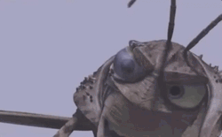 Grasshopper Well Guess What GIF
