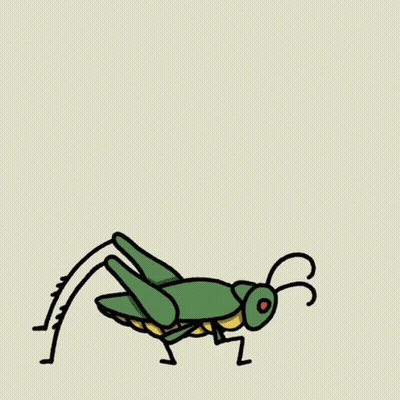 Grasshopper With Red Eyes GIF