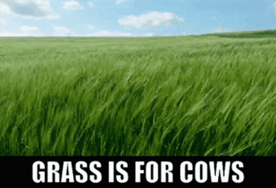 Grassy Field Saying Grass Is For Cows GIF