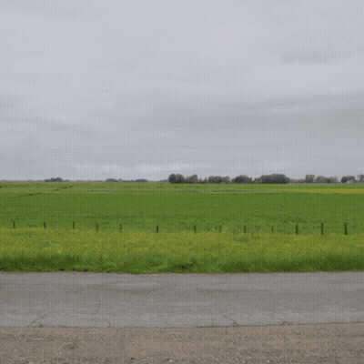 Grassy Field With Fence On Cloudy Day GIF