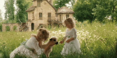 Grassy Field With White W GIF