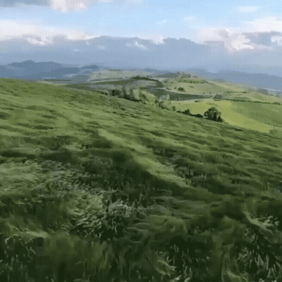Grassy Hillside With Road GIF