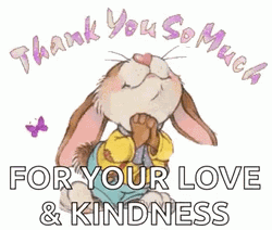 Grateful Bunny Thankful For You GIF