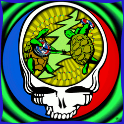 Grateful Dead Skull Featuring Turtles GIF