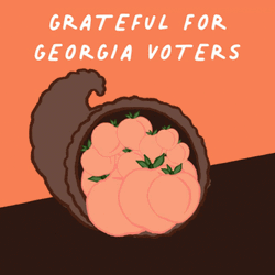 Grateful For Georgia Voters GIF
