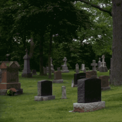 Gravestone For Nelson And Emily Nelson GIF