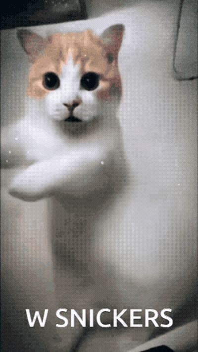 Gray Almond Snickers Bar With Siren GIF
