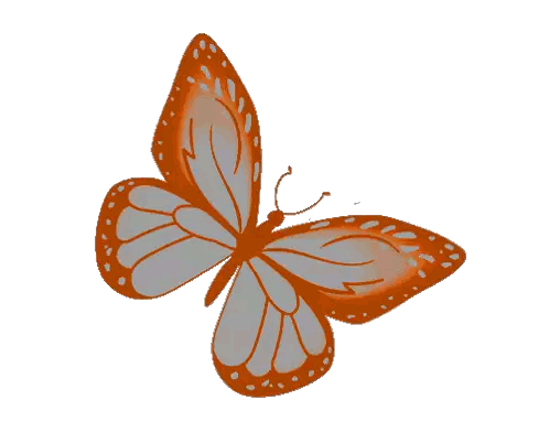 Gray And Orange Butterfly With White Spots Sticker