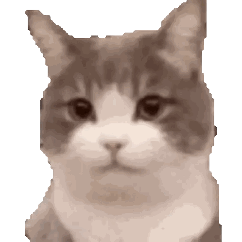 Gray And White Cat Face Sticker