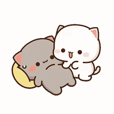 Gray And White Cat Laying Together GIF