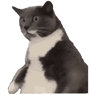 Gray And White Cat Sitting And Looking Sticker
