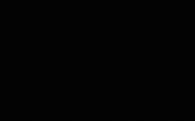 Gray And White Kitten Propped Up By Person GIF