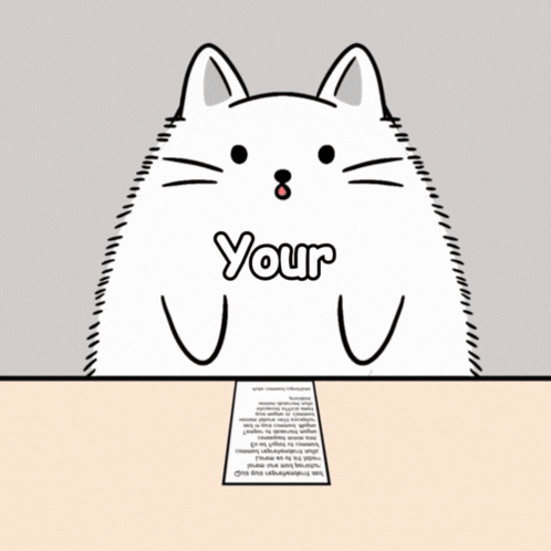 Gray And White Kitten Sitting On Pink Blanket GIF