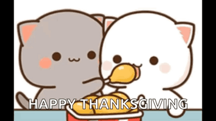 Gray And White Thanksgiving Cat Sweet GIF