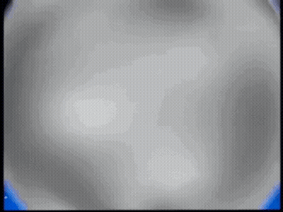 Gray Background Blue Border White Circle GIF