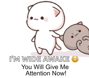 Gray Cat Being Dragged Im Awake GIF