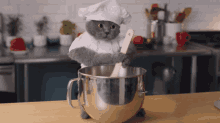 Gray Cat Cooking GIF