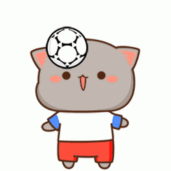 Gray Cat Football Time GIF