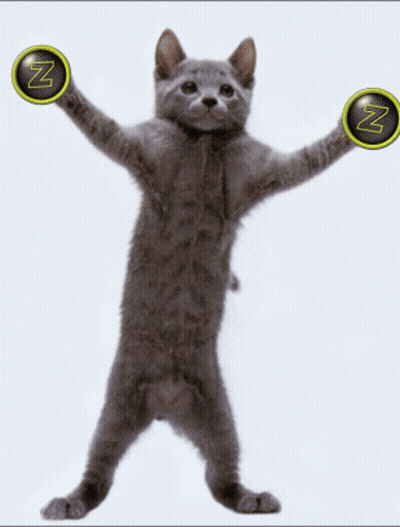 Gray Cat Holding Z Circles GIF