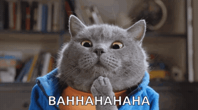 Gray Cat In Blue Jacket Laughing Bahhahahaha GIF