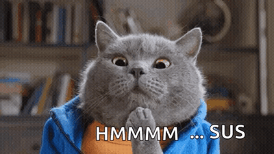 Gray Cat In Blue Jacket Saying Hmmm Sus GIF