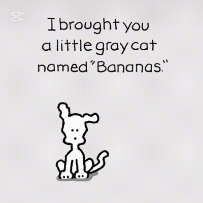 Gray Cat Named Bananas GIF