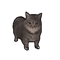 Gray Cat Standing Sticker