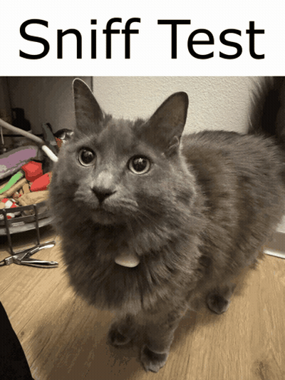 Gray Cat Standing Next To Sniff Test Sign GIF