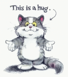 Gray Cat Thinking Of You Sympathy GIF