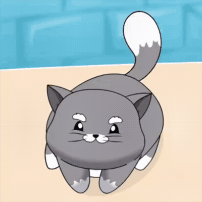 Gray Cat With White Paws And White Tail GIF